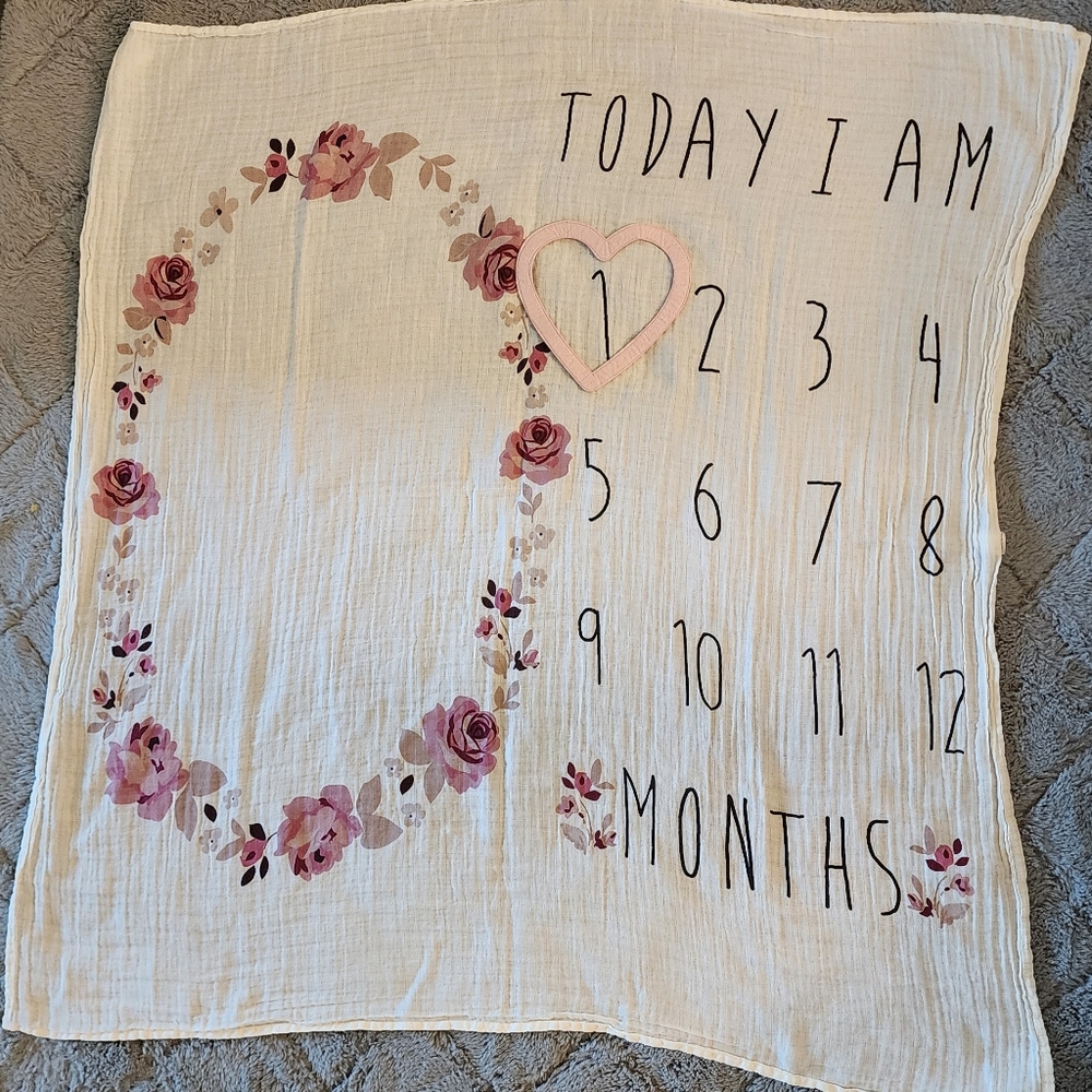 Baby Girl Milestone Blanket
